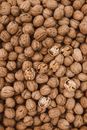 Close-Up Shot of Walnuts