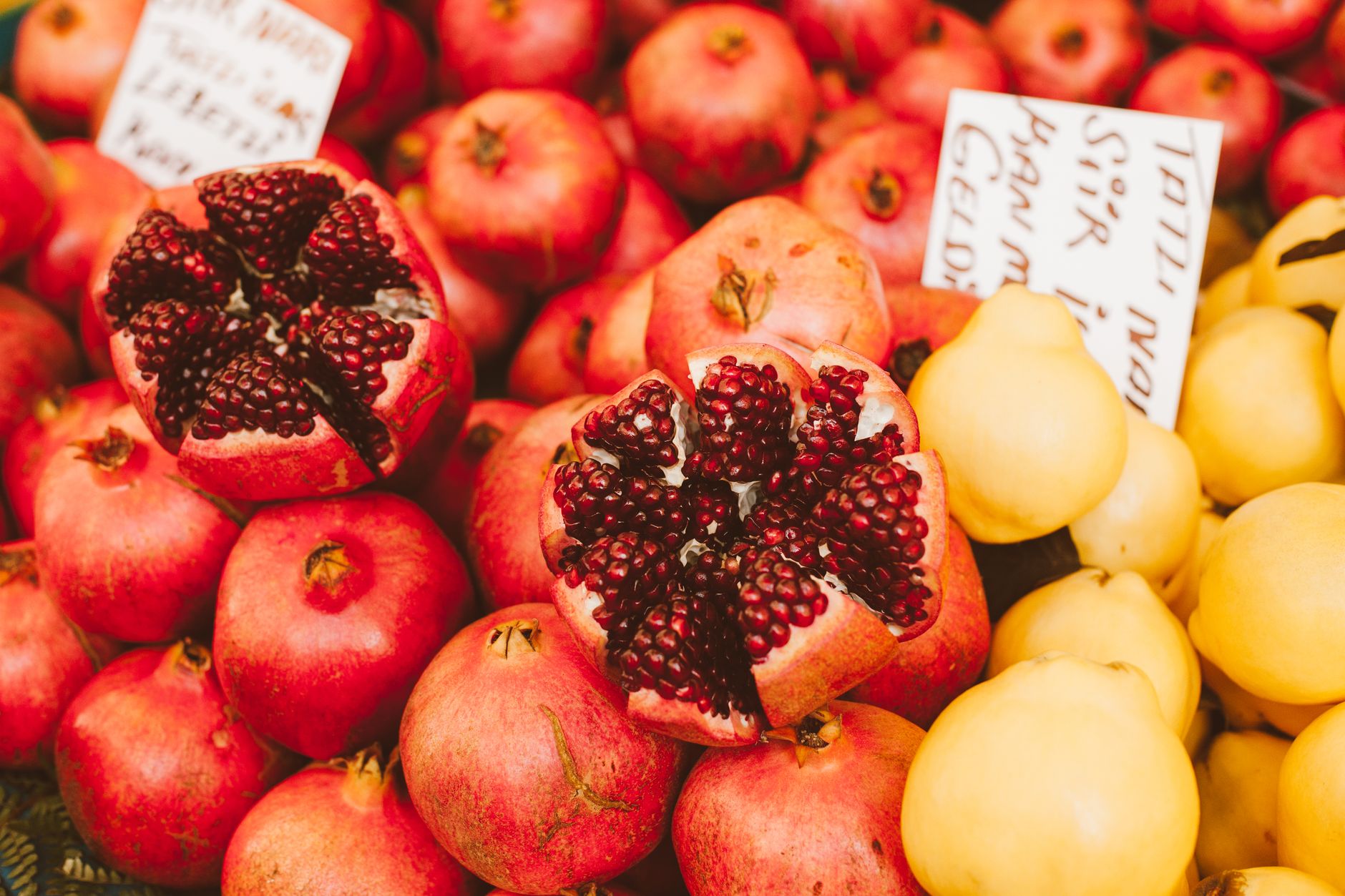 Oxidative Stress: Understanding the Damage and How to Fight Back
