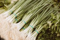 Close-up view of bundles of fresh scallions and herbs ready for sale at a farmers market.