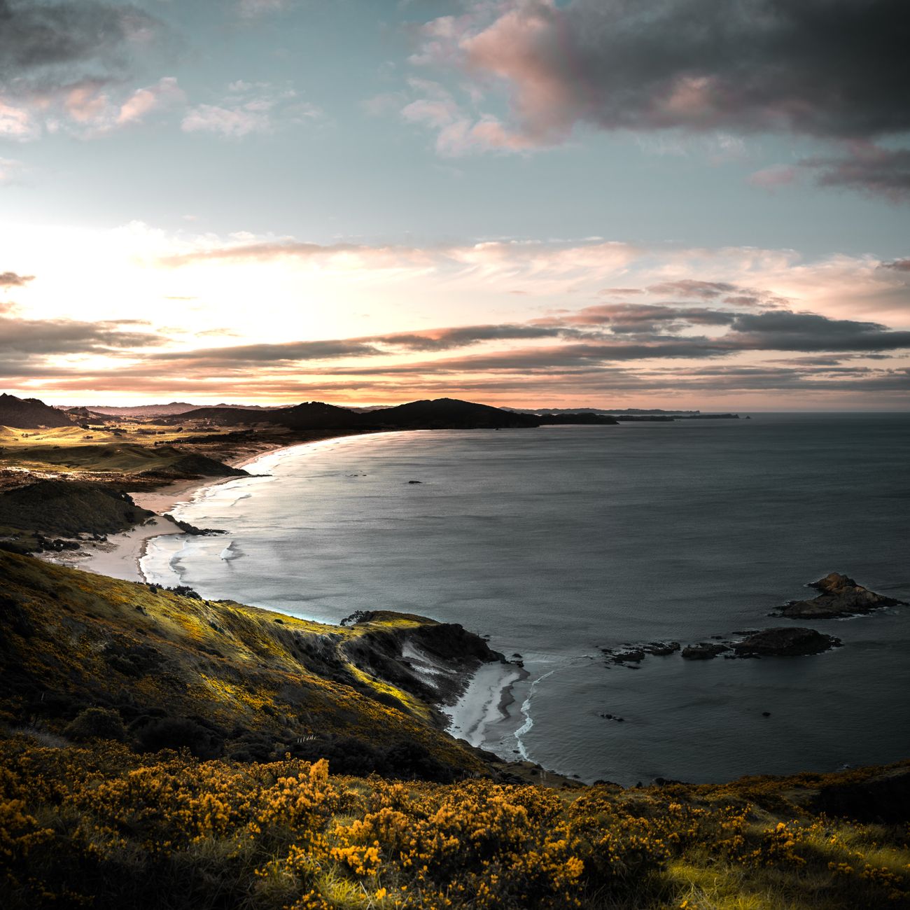 Bay of Plenty