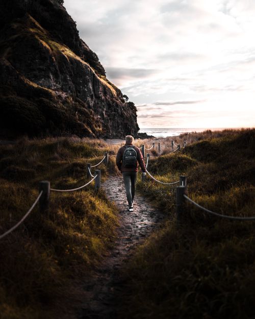 Free Man hiking a scenic path in New Zealand, perfect for adventure and travel themes. Stock Photo