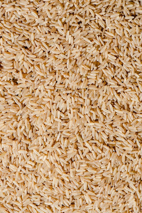 Close-Up Photo of Brown Rice