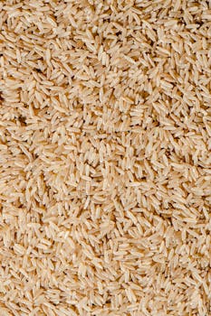 High-resolution close-up of uncooked brown rice showcasing its natural texture and color.