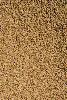 Organic Gluten Free Whole Millet