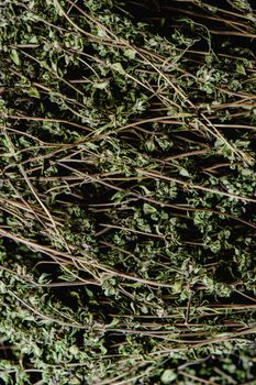 Thyme — Dried