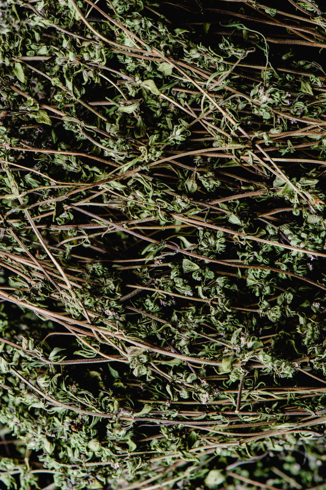Close view of cut and dried leaf herb