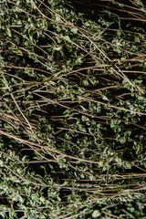 Bhumi Amla Extract