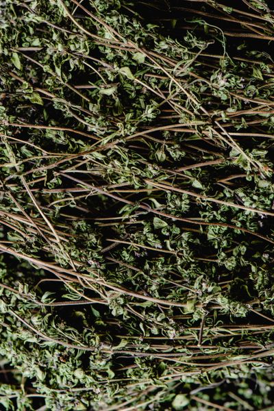 Bhumi Amla Extract