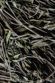 dried sage image