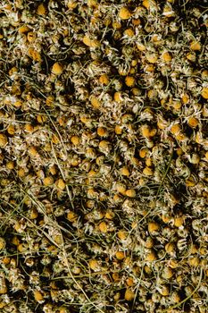 Photo of Dried Chamomile Flowers