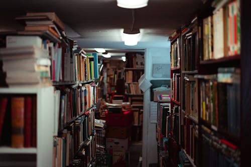 Books on Shelves in Library