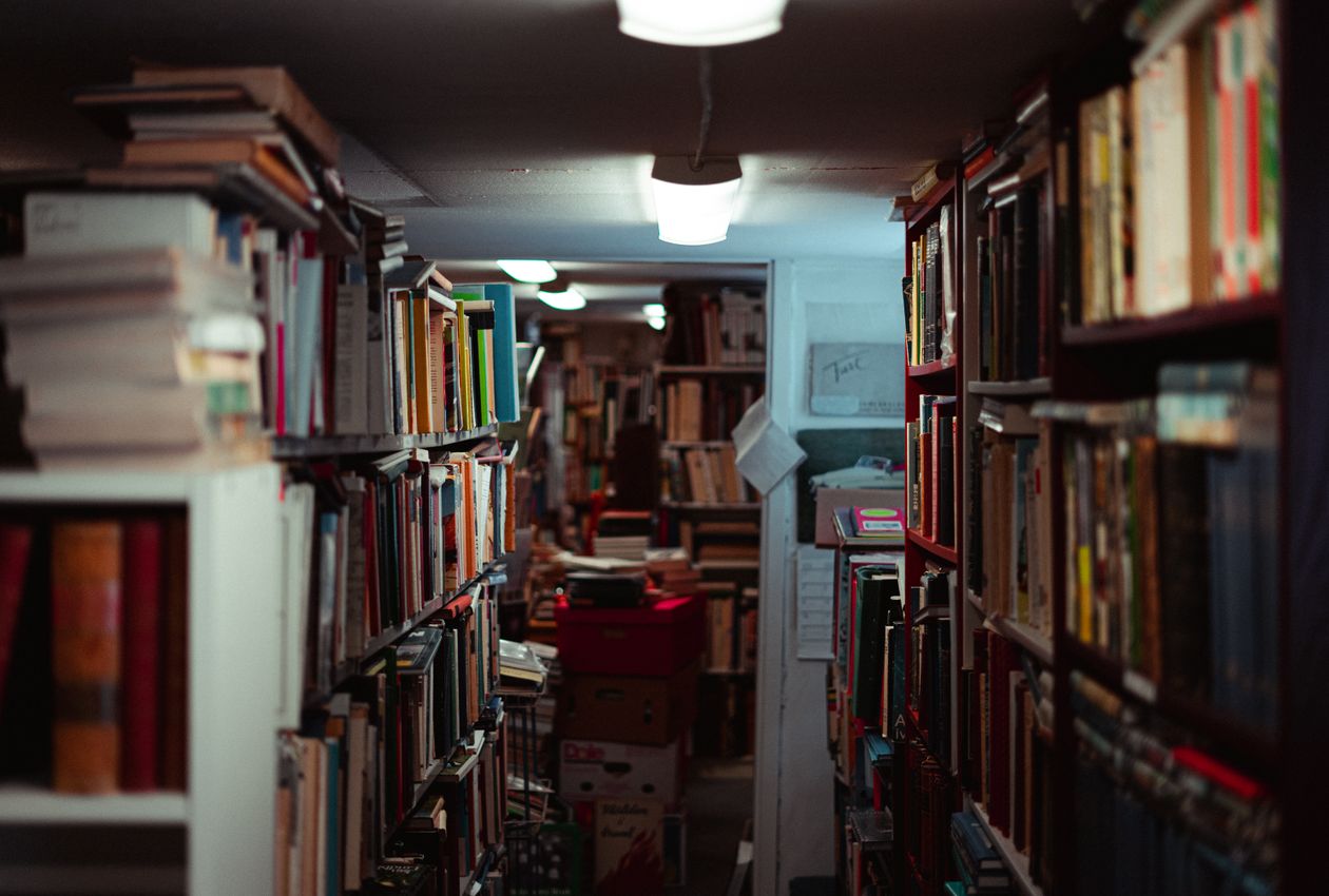 Quiet Carrels and Neoclassical Domes: A Sanctuary Guide to Boston’s Hidden Academic Reading Rooms