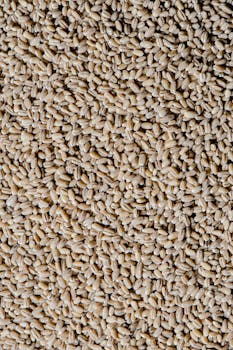 Detailed close-up of raw barley grains, highlighting texture and pattern, ideal for food backgrounds.