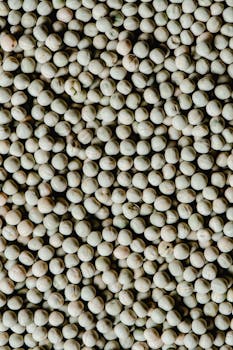 Blackeye pea, dry