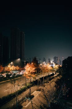 A serene city street at night, illuminated by streetlights and framed by tall buildings.