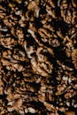 Bulk of Walnuts