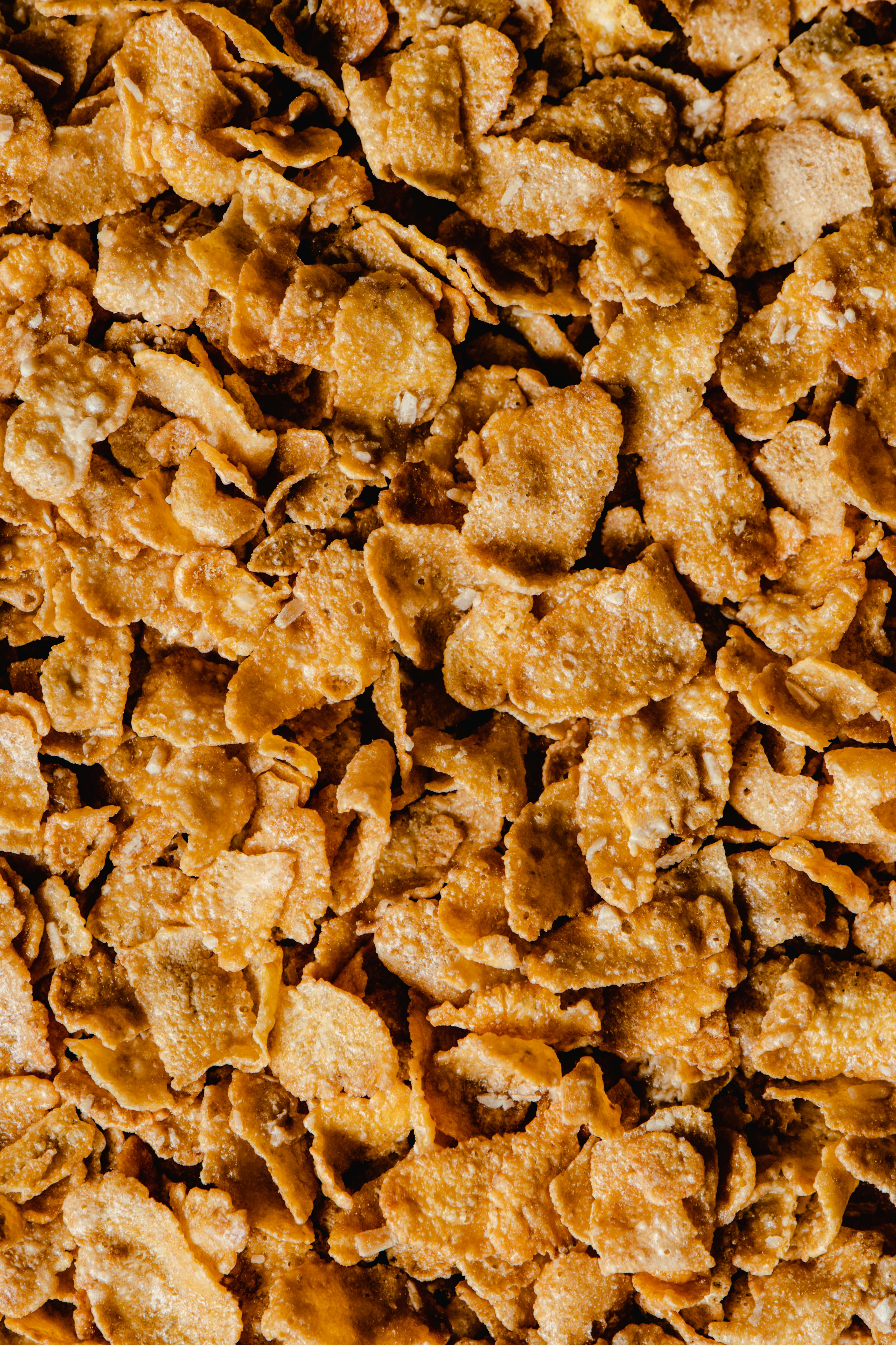 Photo by Eva Bronzini