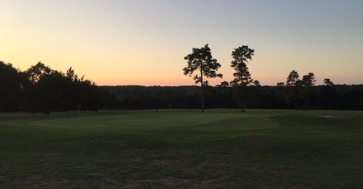 Free stock photo of golf course, sunset