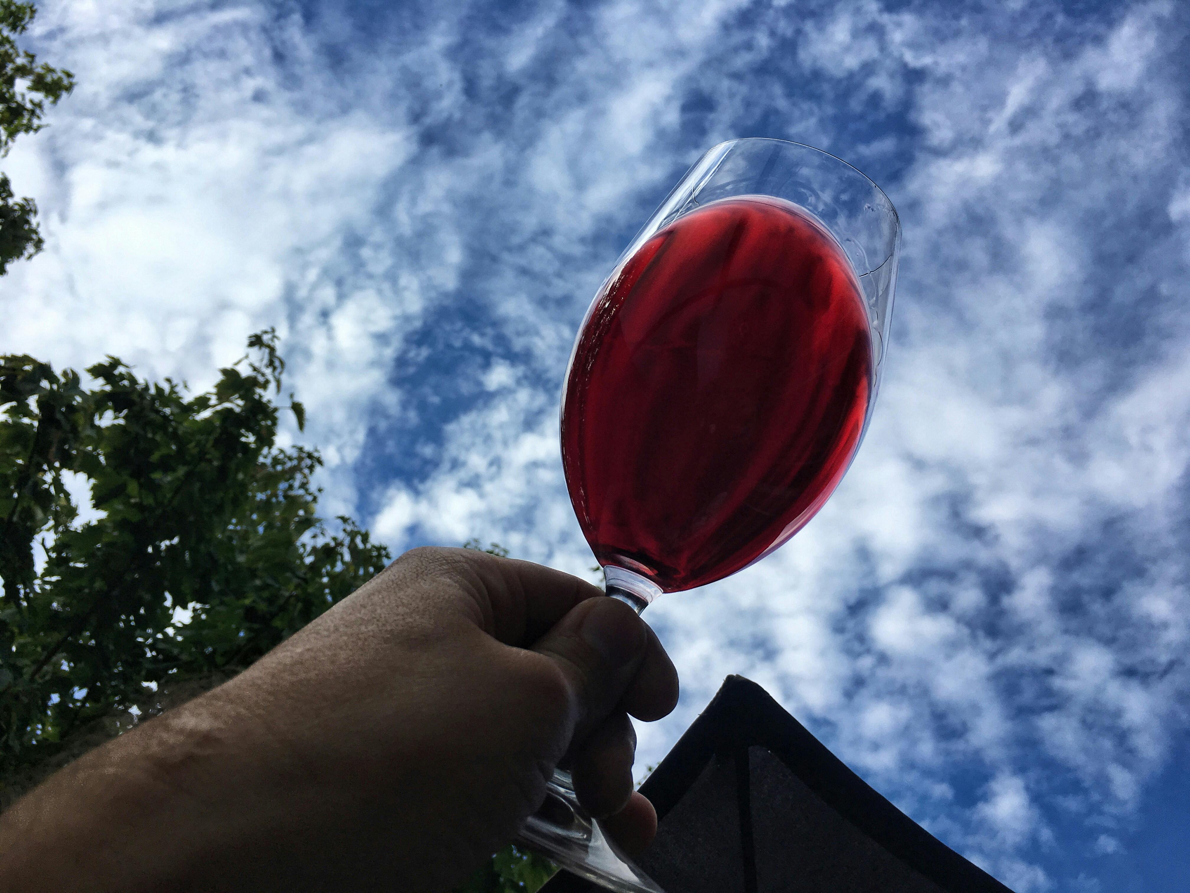 Free stock photo of cloudy sky, red wine, toast