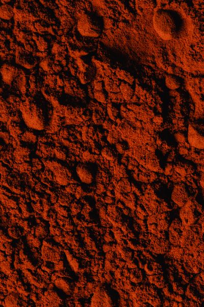 Ground paprika spice texture — photo by Eva Bronzini on Pexels