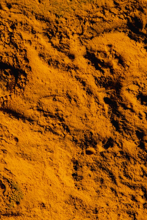 Close-Up Shot of Turmeric Powder 