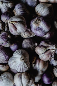 A detailed view of organic purple garlic bulbs with dark, earthy tones, captured from above.
