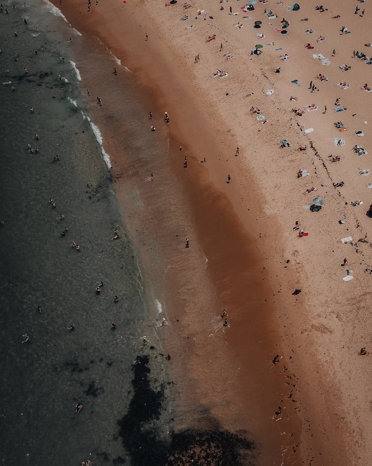 People On The Beach At Summer