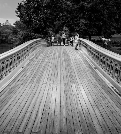 Grayscale Photo of People On Bow Bridge Central Park New York