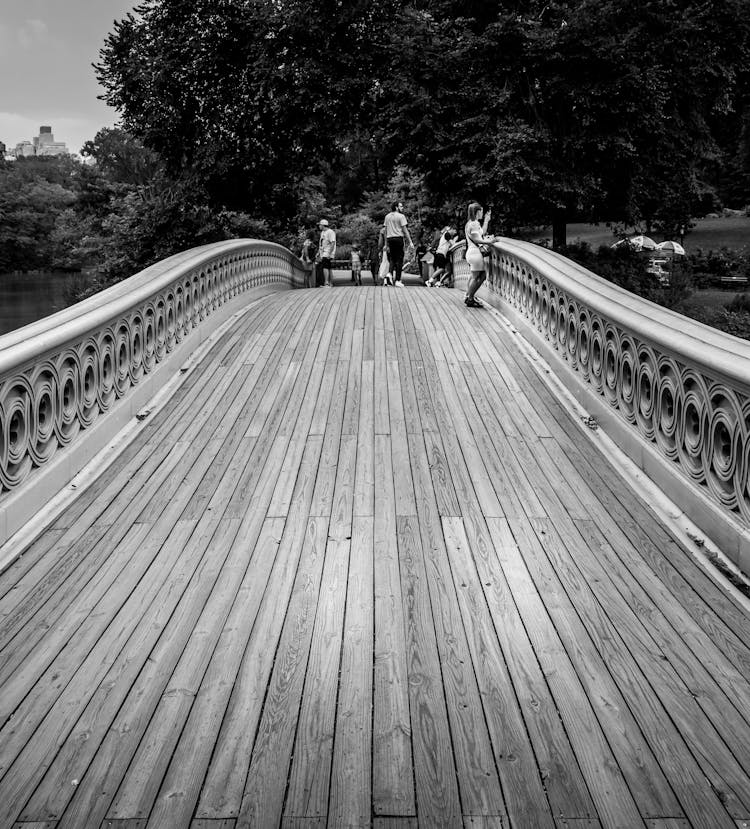 Grayscale Photo Of People On Bow Bridge Central Park New York