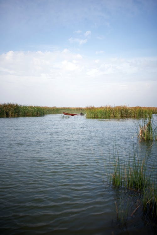Darmowe zdjęcie z galerii z bagna, błękitne niebo, irak