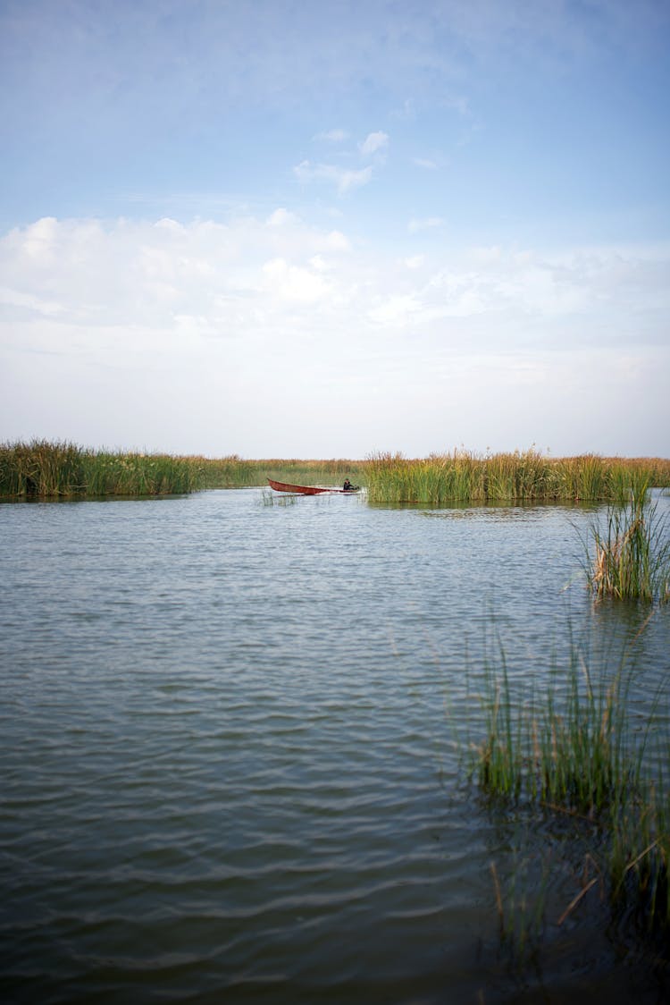 Boat On A Body Of Water Near Grass