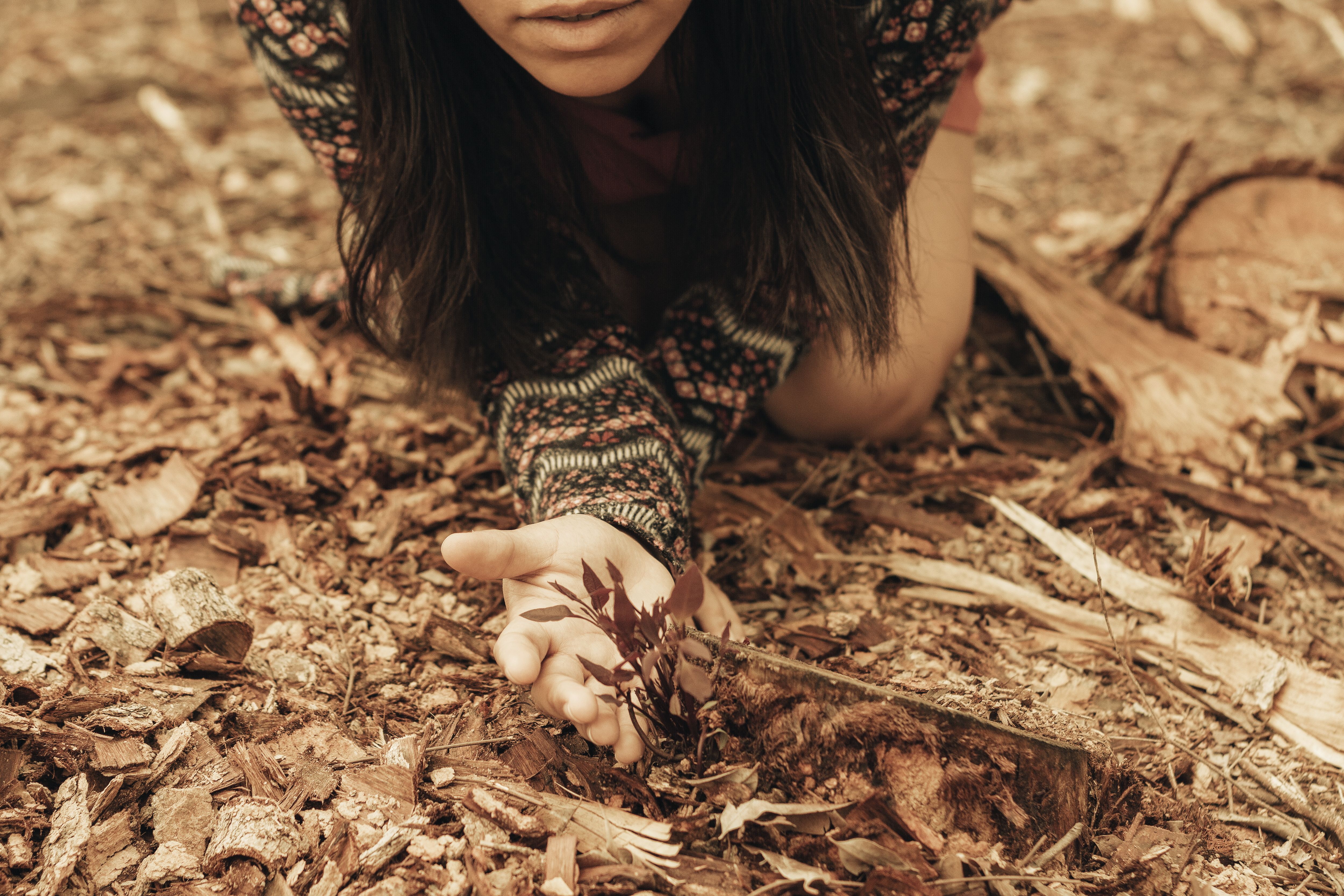 Victoria’s groundbreaking treaty could reshape Australia’s relationship with First Peoples — Photo by Andre Moura on Pexels