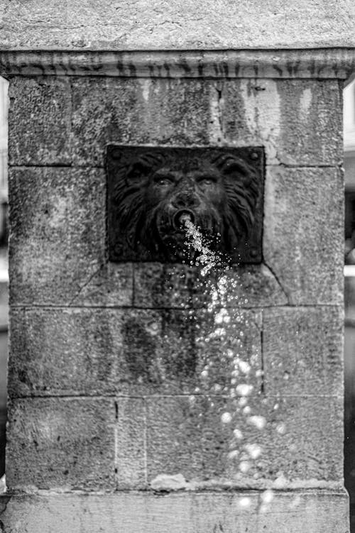 Water Fountain in Gray Scale Photography