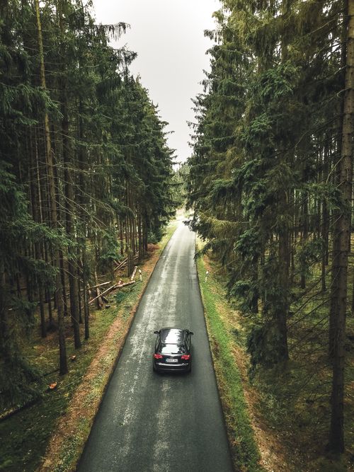 Free A drone captures a scenic view of a car driving through a lush, tranquil forest road in Hof, Germany. Stock Photo