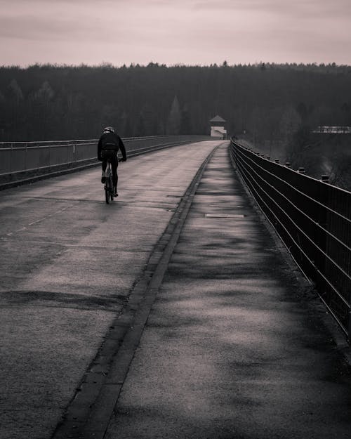 Kostnadsfria Kostnadsfri bild av bro, cyklist, gråskale Stock foto