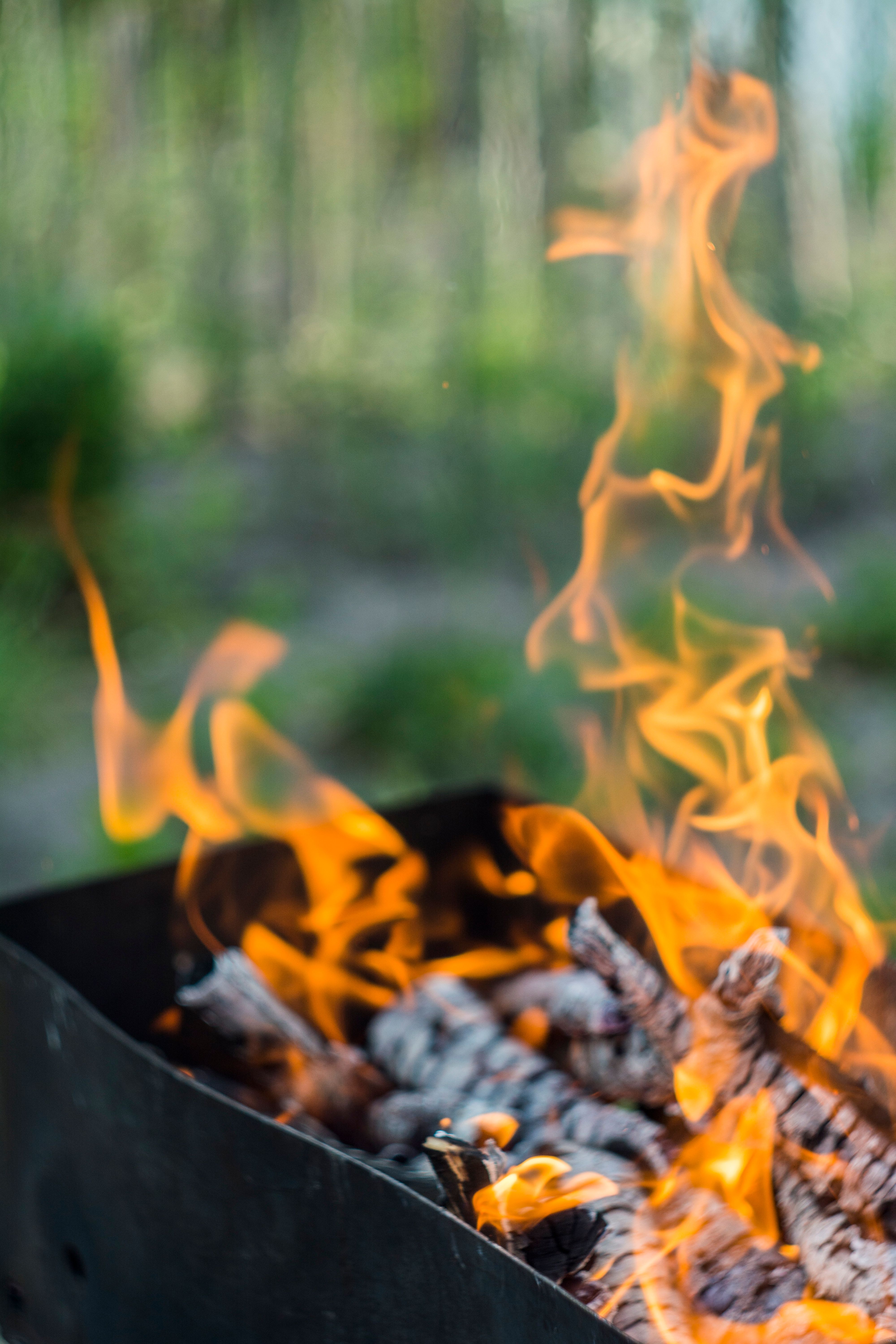 Close-up of Fire Flame from Wood Burning · Free Stock Photo