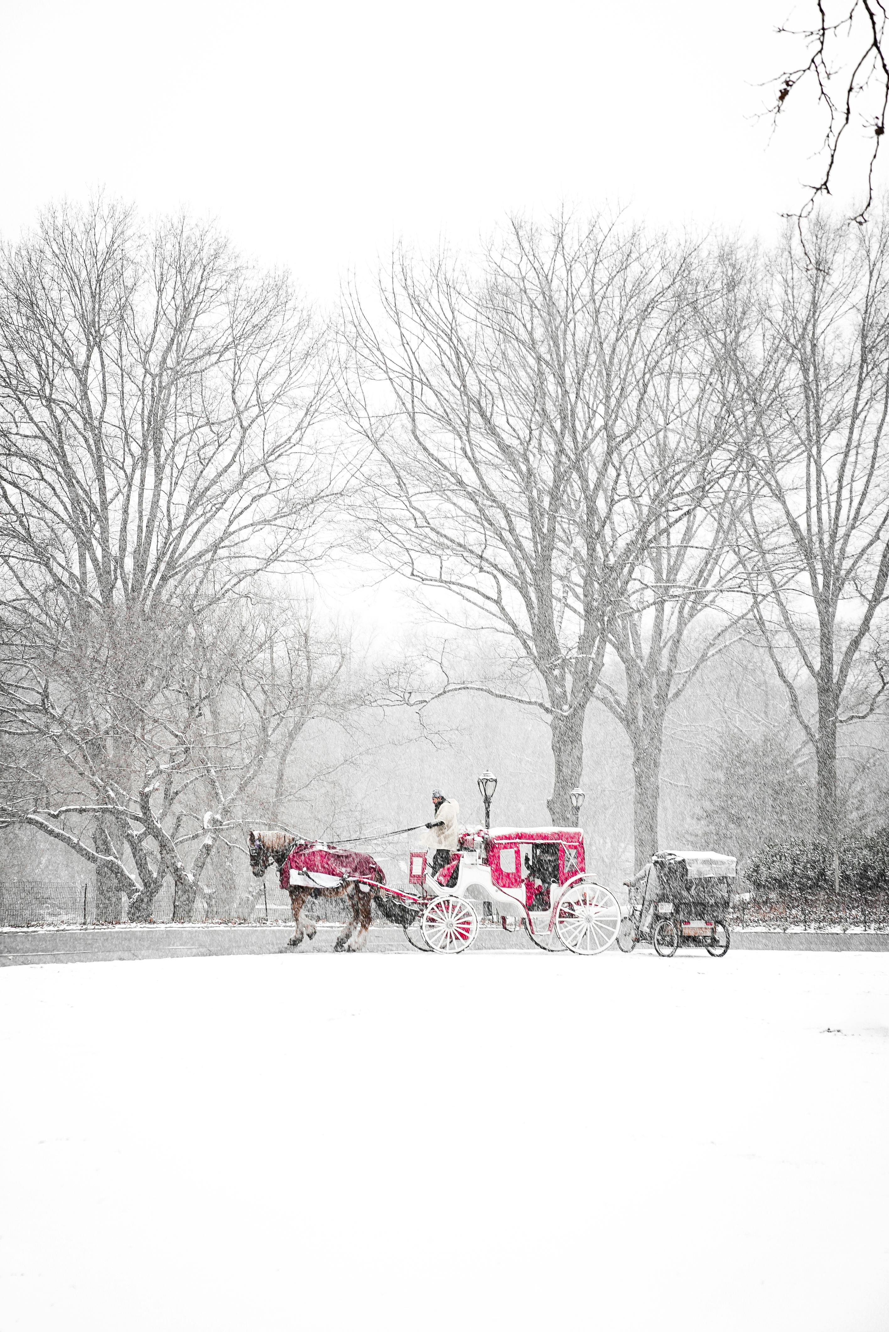 Enclosed horse drawn carriage hi-res stock photography and images