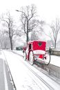 Elegant red horse carriage with heart shaped window riding on snowy street near leafless trees in city park on cloudy winter day
