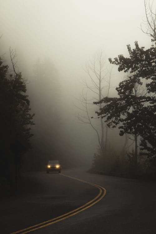 Car driving on road between trees against misty sky