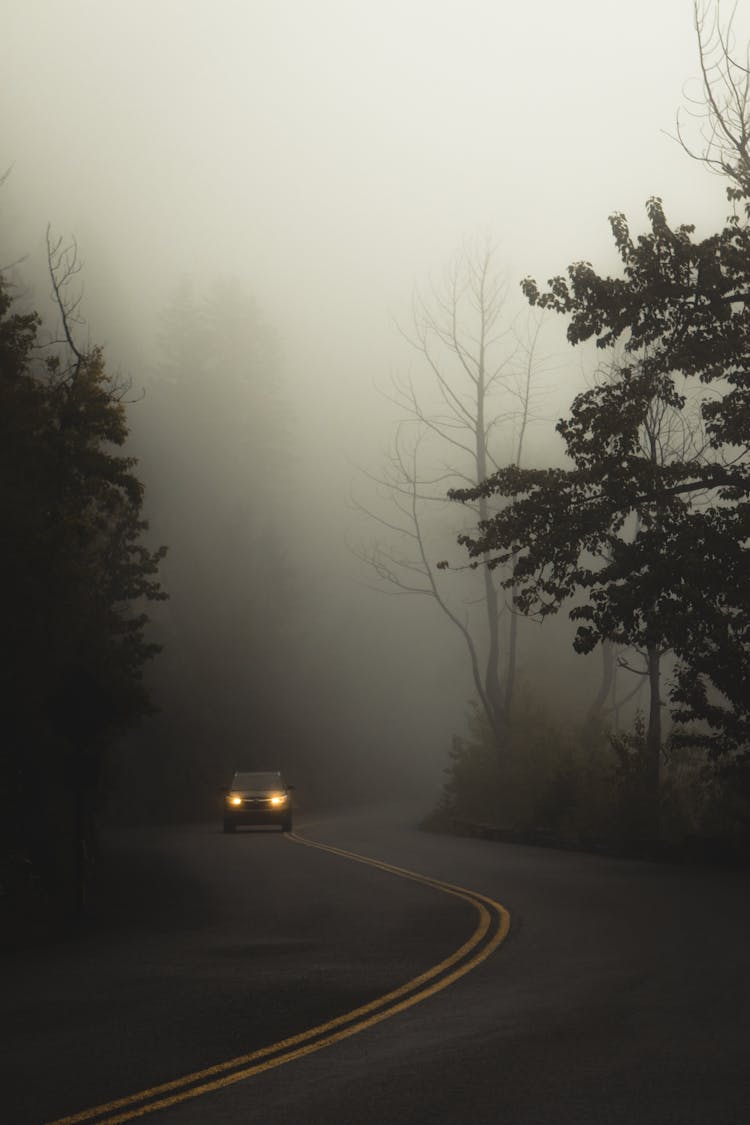 Car Driving On Road Between Trees Against Misty Sky