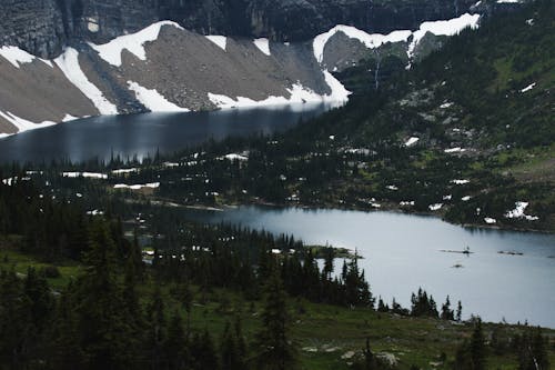 Spectacular landscape of calm Hidden Lake surrounded by coniferous trees and snowy mountains in Glacier National Park