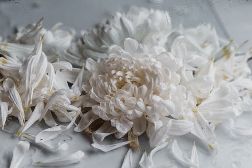 Белые цветы на белом текстиле