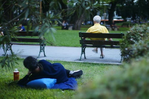 Fotobanka s bezplatnými fotkami na tému ľudia, park, relax