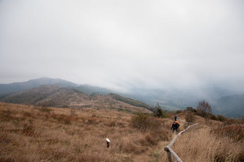 Hikers walking through grassy hills