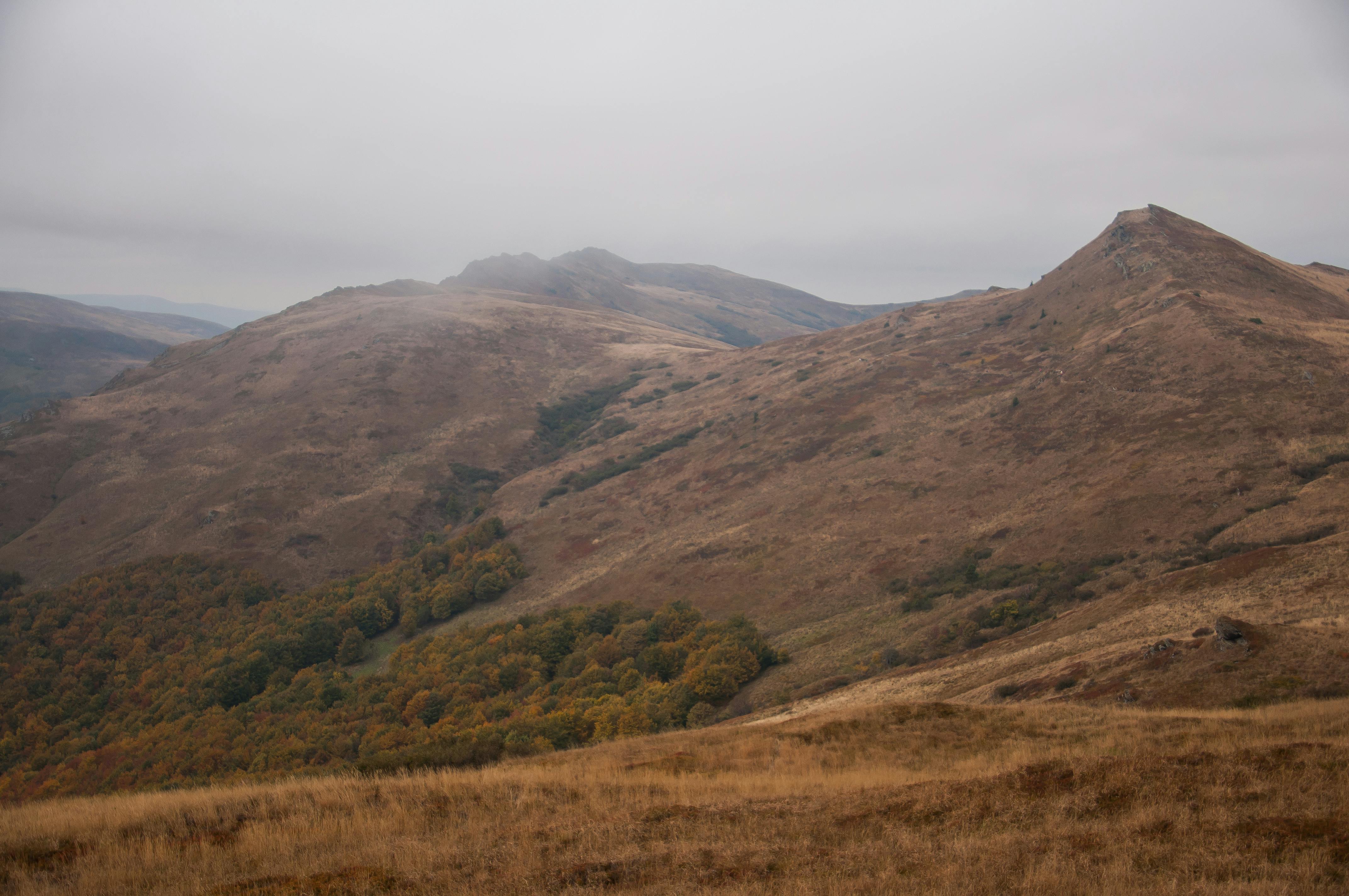 Bieszczady – dzikie i wolne serce polskich gór - Ilustracja do artykułu