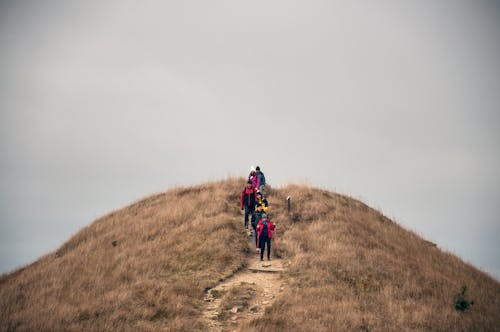 Unrecognizable backpackers standing on hill