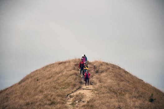 A group of hikers on a grassy hill trail in Podkarpackie, Poland, exploring the natural landscape.