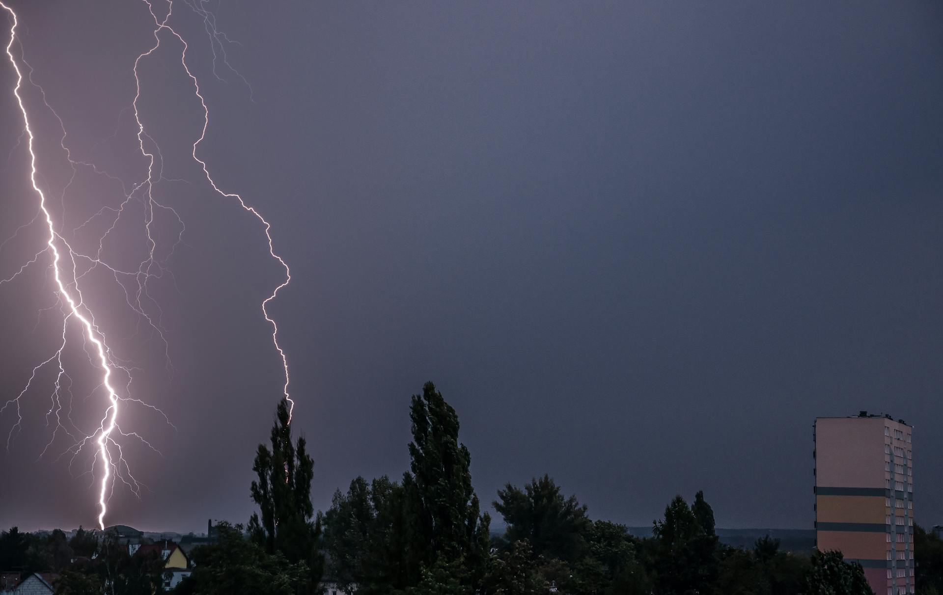 Bright lightning striking in dark cloudless sky over tall trees growing in town with residential buildings in night time in overcast weather
