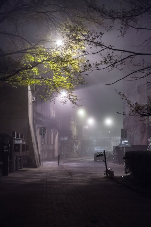 Free Narrow alley between residential houses located on dark street with glowing streetlamps and green trees in city in foggy weather Stock Photo