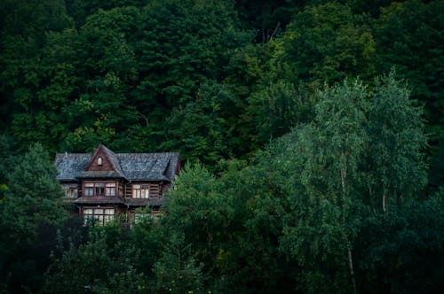 House located among green forest